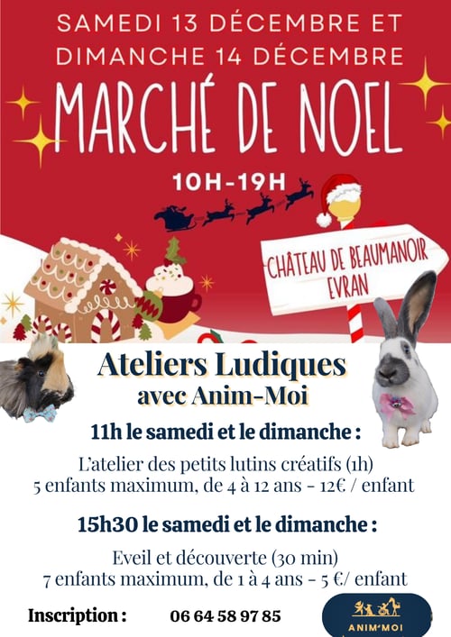 Affiche Marché de NOEL Anim-Moi Affiche Marché de NOEL Anim-Moi