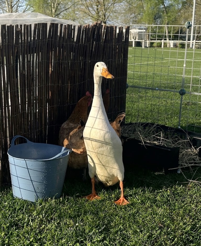 0ef33af9-2ee8-46ed-bb2e-9ec5f6ce8807